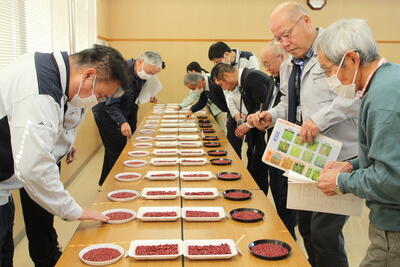 250116Aたじま　美方大納言小豆品評会、田門さん（香住区）最優秀、JAたじま　美方大納言小豆生産組合.jpg