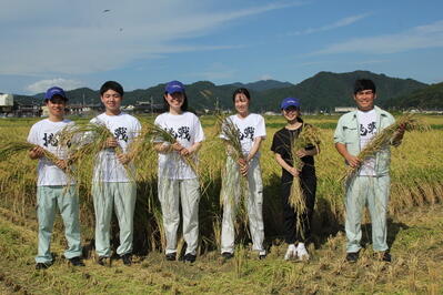 240912 JAたじま　自分で植えた稲刈り楽しむ　JAたじま　ふるさと但馬米振興会.jpg