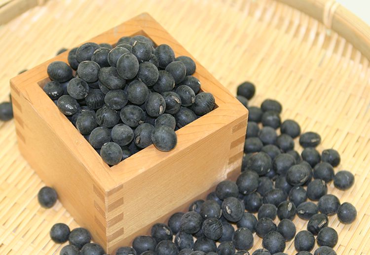 丹波黒大豆 黒大豆の王様 Jaたじまの特産品