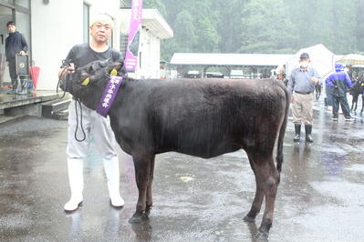 241004JAたじま　最上位に中村さん　新温泉町子牛共進会.jpg